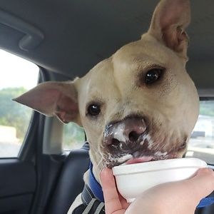 Meet your Posher, Jess